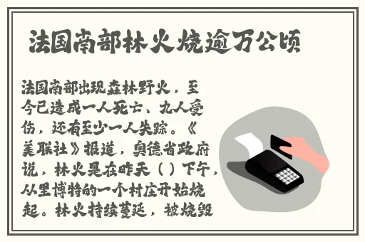 张警犬9分8秒头撞玻璃