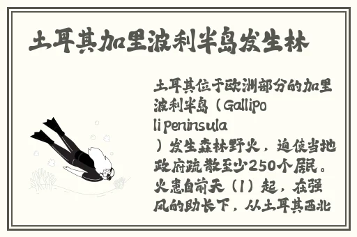 五月丁香网综合